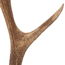 Article Bois de cerf artificiels décoratifs, décoration rustique pour chalet, 50 cm