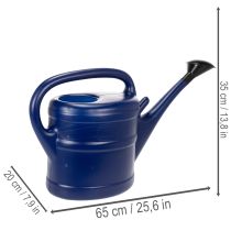 Article Arrosoir de 10 L, arrosoir de jardin avec pommeau, arrosoir de jardin bleu