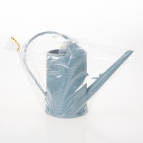 Article Arrosoir idéal pour un arrosage précis des plantes de balcon et d'intérieur (32 cm).