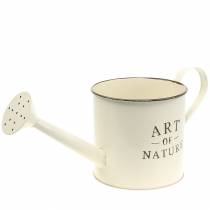 Article Pot de fleur arrosoir crème zinc Ø16,5cm H17cm