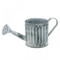 Pot décoratif, jardinière, arrosoir pour plantation Ø10.5cm