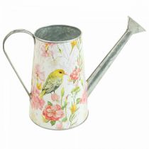 Arrosoir décoratif en métal à planter, jardinière H22cm
