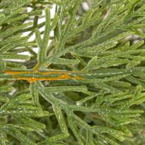 Article Guirlande de sapin artificiel pour portes et fenêtres, 200 cm
