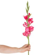 Article Glaïeul artificiel avec fleurs décoratives, 88 cm