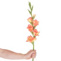 Article Glaïeuls artificiels à nombreuses fleurs pour bouquet, 88 cm