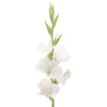 Article Glaïeul artificiel, à longue tige, pour vases, 88 cm