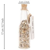 Article Bouteille décorative en verre avec coquillages et pendentif, décoration de table marine, 17 cm, 2 pièces