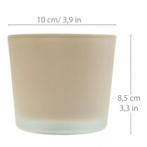 Article Cache-pot en verre Jardinière beige Jardinière en verre Ø10cm H8.5cm