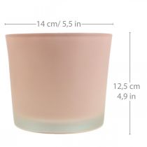 Pot de fleurs jardinière en verre pot en verre rose Ø14.5cm H12.5cm