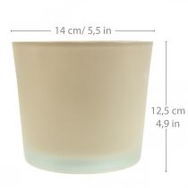 Article Cache-pot en verre Jardinière beige Jardinière en verre Ø14.5cm H12.5cm