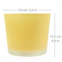 Cache-pot en verre cache-pot jaune pot en verre Ø14.5cm H12.5cm