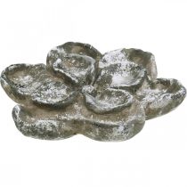 Décoration tombe, décoration béton, décoration jardin, rosace béton Ø21cm