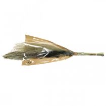 Article Herbes séchées en bouquet Floristique sèche Bouquet sec H70cm