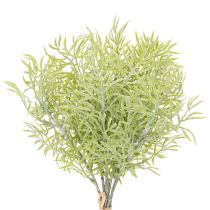 Article Branche d'asperge ornementale, élément naturel pour les bouquets de fleurs, 34 cm, 7 pièces