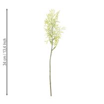 Article Branche d'asperge ornementale, élément naturel pour les bouquets de fleurs, 34 cm, 7 pièces