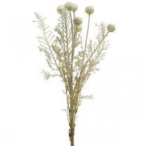 Herbes sèches herbe de pampa artificielle allium crème, beige H60cm
