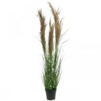 Article Carex artificiel en pot avec fleurs séchées vert, marron 98cm