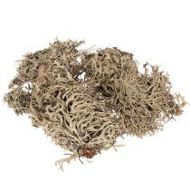 Article Mousse décorative grise pour loisirs créatifs, 500 g