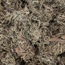 Article Mousse décorative grise pour loisirs créatifs, 500 g