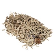 Article Mousse décorative grise pour loisirs créatifs, 500 g