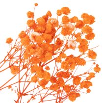 Article Bouquet de gypsophile séchée (75 cm, 100 g)