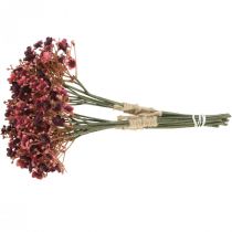 Article Gypsophile artificielle rouge fleurs artificielles automne 29.5cm 18pcs