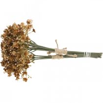 Article Gypsophile artificielle marron pour bouquet d'automne 29,5cm 18p