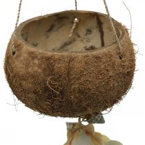 Bol coco avec coquillages, bol végétal naturel, coco en suspension Ø13,5/11,5cm, lot de 2