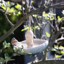 Article Champignon décoratif avec oiseau déco automne à suspendre Ø15cm H12cm