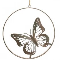 Article Décoration murale décoration papillon métal anneau rose Ø38cm