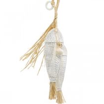 Article Poisson à accrocher, maritime, cintres de décoration avec poisson, décorations de fête tropicales