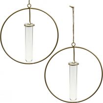 Anneau décoratif pour accrocher tube à essai métal doré Ø16cm 4pcs