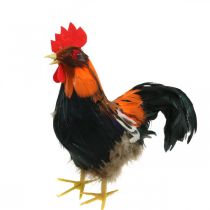 Coq décoratif avec plumes figure décorative Pâques printemps décoration 24cm