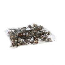 Article Hakea moyen naturel 5-9 têtes par branche 20 pcs