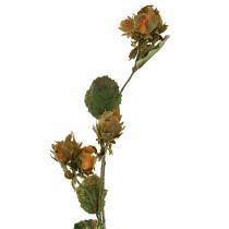 Article Branche de noisette verte / brune 84cm