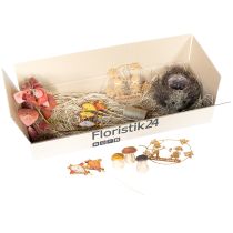 Article Coffret de décoration d&#39;automne Hérisson Champignons Dragon – Achetez un coffret de décoration pas cher
