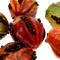 Fruits d&#39;automne 3.5cm rouge, marron 24pcs