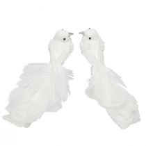 Article Pigeons de décoration de mariage en couple de pigeons sur pince blanc 22cm 2 pièces