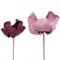 Article Fleur en bois, coupe palmier mix rose-erika 25 pcs