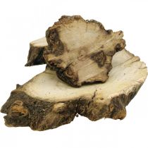 Article Disques en bois déco racine bois parsemer décoration bois 3-8cm 500g