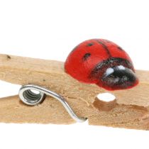 Article Pinces décoratives en bois coccinelles 2,5 cm 180 pcs