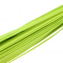 Sangles de bois vert printemps 95 - 100 cm 50 p.