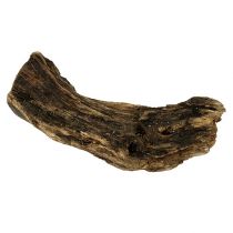 Article Bois racine nature 6cm-13cm 500g