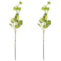 Article Branche de houblon 70cm vert 2 pièces plante artificielle