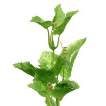 Article Branche de houblon 70cm vert 2 pièces plante artificielle
