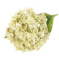 Article Fleur d'hortensia artificielle à longue tige et feuilles, 60 cm