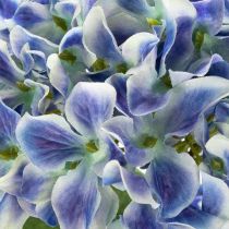 Article Branche d'hortensia fleurie pour une décoration intérieure élégante, 80 cm, 2 pièces