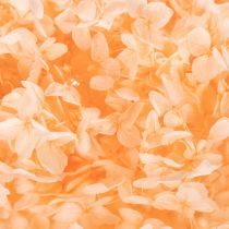 Article Bouquet de fleurs séchées d'hortensias pour une décoration florale élégante à la maison, 65 cm