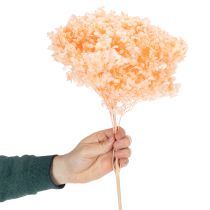 Article Bouquet de fleurs séchées d'hortensias pour une décoration florale élégante à la maison, 65 cm