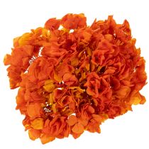 Article Hortensia stabilisé et teint, grande fleur à longue tige, 60 cm